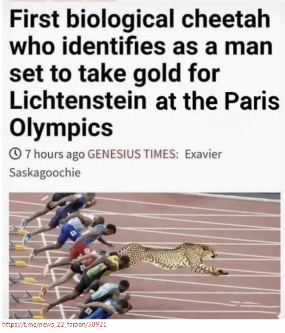 biologicky gepard oh paris 2024