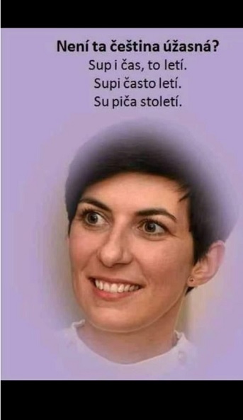 pica stoleti